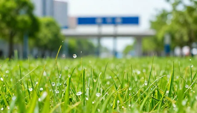 网络工程:SEO优化的执行效率提升策略分析